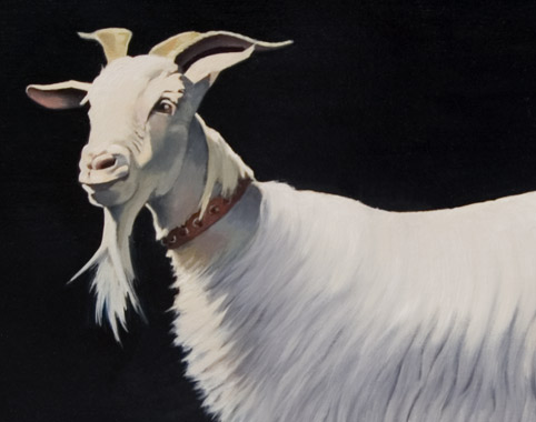 The Goat oil painting by Pat Baker