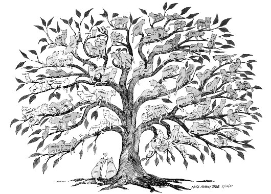 Ida + Harry Katz' tree